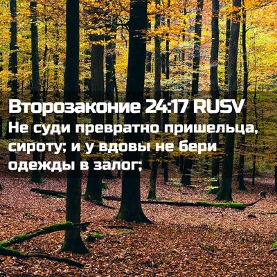 Picture 02 - Второзаконие 24:17 RUSV - Не суди превратно - Bible Verse Picture
