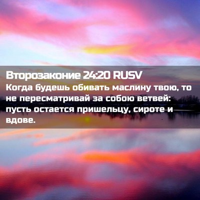 Picture 02 - Второзаконие 24:20 RUSV - Когда будешь обивать - Bible Verse Picture