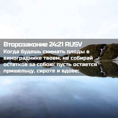Picture 02 - Второзаконие 24:21 RUSV - Когда будешь снимать плоды - Bible Verse Picture