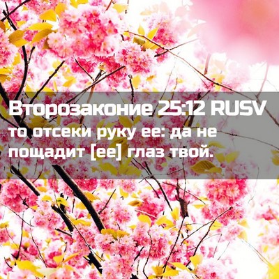 Picture 02 - Второзаконие 25:12 RUSV - то отсеки руку ее: да не - Bible Verse Picture