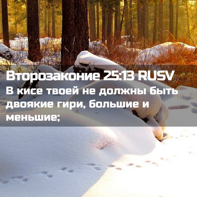 Picture 02 - Второзаконие 25:13 RUSV - В кисе твоей не должны быть - Bible Verse Picture