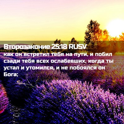 Picture 02 - Второзаконие 25:18 RUSV - как он встретил тебя на - Bible Verse Picture