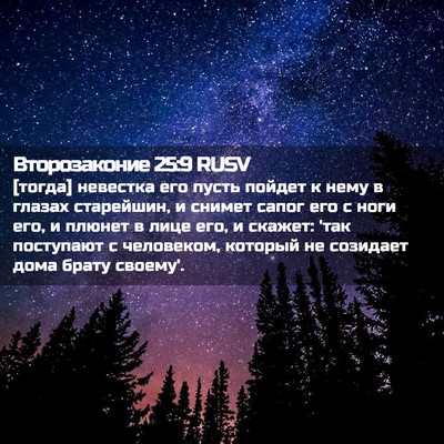 Picture 02 - Второзаконие 25:9 RUSV - [тогда] невестка его пусть - Bible Verse Picture