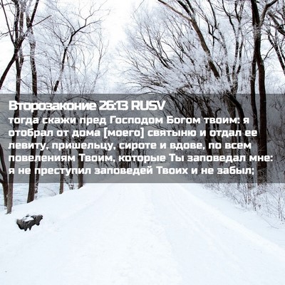 Picture 02 - Второзаконие 26:13 RUSV - тогда скажи пред Господом - Bible Verse Picture