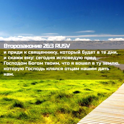 Picture 02 - Второзаконие 26:3 RUSV - и приди к священнику, - Bible Verse Picture