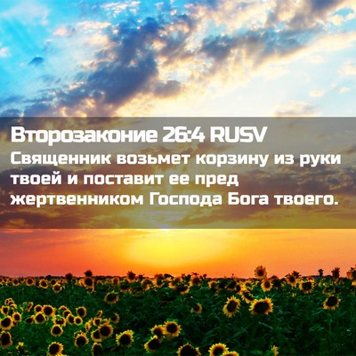 Picture 02 - Второзаконие 26:4 RUSV - Священник возьмет корзину - Bible Verse Picture
