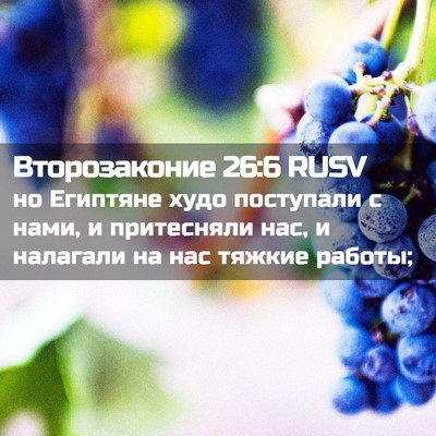 Picture 02 - Второзаконие 26:6 RUSV - но Египтяне худо поступали - Bible Verse Picture