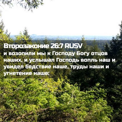 Picture 02 - Второзаконие 26:7 RUSV - и возопили мы к Господу - Bible Verse Picture