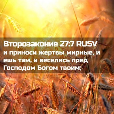 Picture 02 - Второзаконие 27:7 RUSV - и приноси жертвы мирные, и - Bible Verse Picture