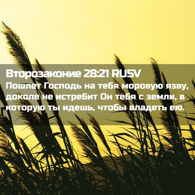 Picture 02 - Второзаконие 28:21 RUSV - Пошлет Господь на тебя - Bible Verse Picture