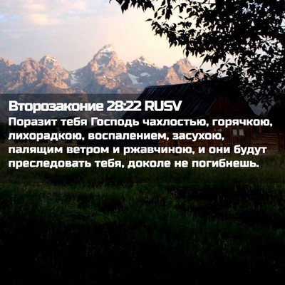 Picture 02 - Второзаконие 28:22 RUSV - Поразит тебя Господь - Bible Verse Picture