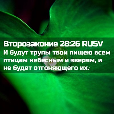 Picture 02 - Второзаконие 28:26 RUSV - И будут трупы твои пищею - Bible Verse Picture