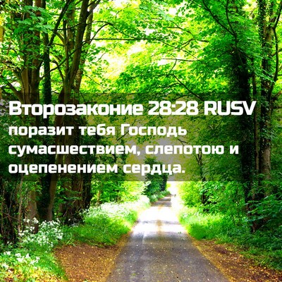 Picture 02 - Второзаконие 28:28 RUSV - поразит тебя Господь - Bible Verse Picture