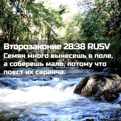 Picture 02 - Второзаконие 28:38 RUSV - Семян много вынесешь в - Bible Verse Picture
