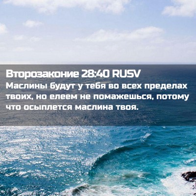 Picture 02 - Второзаконие 28:40 RUSV - Маслины будут у тебя во - Bible Verse Picture