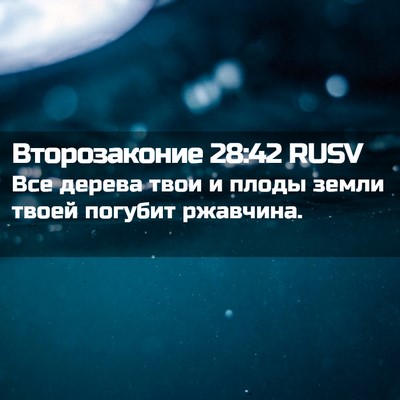 Picture 02 - Второзаконие 28:42 RUSV - Все дерева твои и плоды - Bible Verse Picture