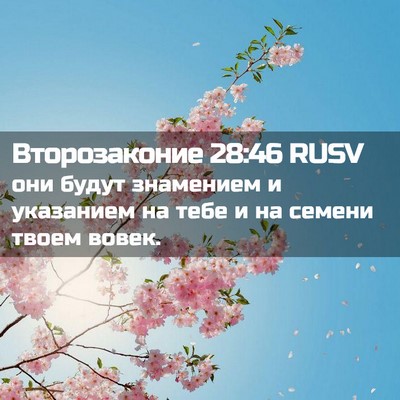 Picture 02 - Второзаконие 28:46 RUSV - они будут знамением и - Bible Verse Picture