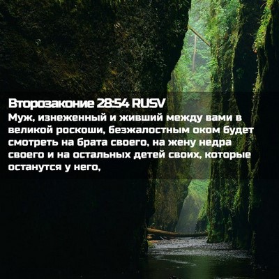 Picture 02 - Второзаконие 28:54 RUSV - Муж, изнеженный и живший - Bible Verse Picture