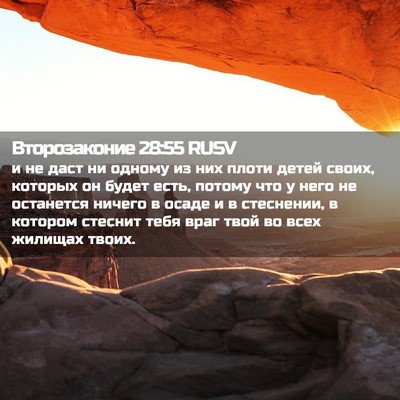 Picture 02 - Второзаконие 28:55 RUSV - и не даст ни одному из них - Bible Verse Picture