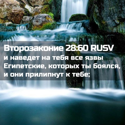 Picture 02 - Второзаконие 28:60 RUSV - и наведет на тебя все язвы - Bible Verse Picture