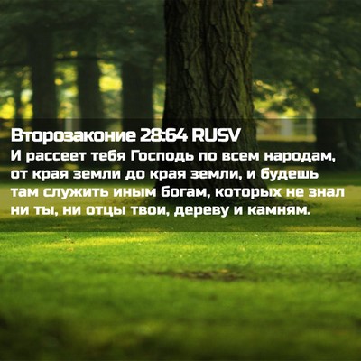 Picture 02 - Второзаконие 28:64 RUSV - И рассеет тебя Господь по - Bible Verse Picture