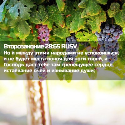 Picture 02 - Второзаконие 28:65 RUSV - Но и между этими народами - Bible Verse Picture
