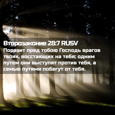 Picture 02 - Второзаконие 28:7 RUSV - Поразит пред тобою Господь - Bible Verse Picture