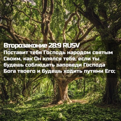 Picture 02 - Второзаконие 28:9 RUSV - Поставит тебя Господь - Bible Verse Picture