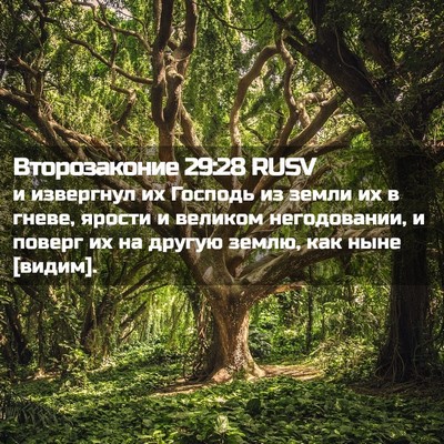 Picture 02 - Второзаконие 29:28 RUSV - и извергнул их Господь из - Bible Verse Picture