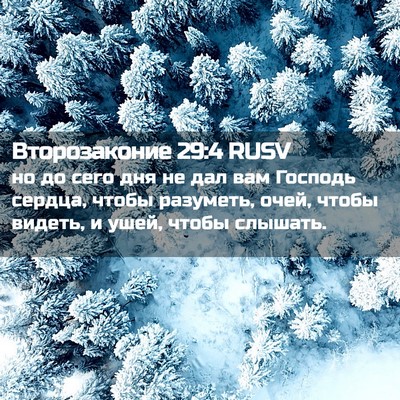 Picture 02 - Второзаконие 29:4 RUSV - но до сего дня не дал вам - Bible Verse Picture