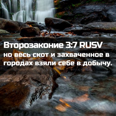 Picture 02 - Второзаконие 3:7 RUSV - но весь скот и захваченное - Bible Verse Picture