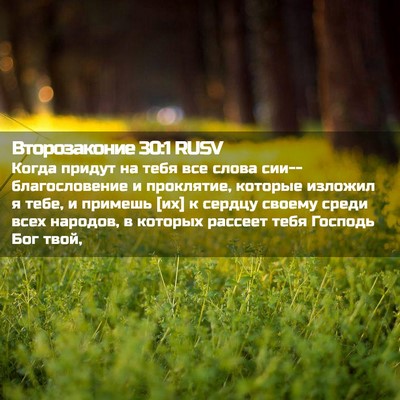 Picture 02 - Второзаконие 30:1 RUSV - Когда придут на тебя все - Bible Verse Picture