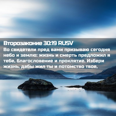 Picture 02 - Второзаконие 30:19 RUSV - Во свидетели пред вами - Bible Verse Picture