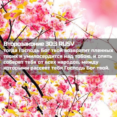 Picture 02 - Второзаконие 30:3 RUSV - тогда Господь Бог твой - Bible Verse Picture