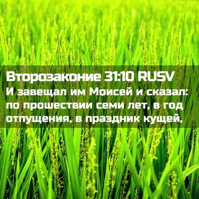 Picture 02 - Второзаконие 31:10 RUSV - И завещал им Моисей и - Bible Verse Picture