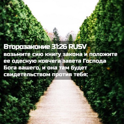 Picture 02 - Второзаконие 31:26 RUSV - возьмите сию книгу закона - Bible Verse Picture