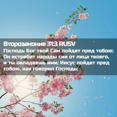 Picture 02 - Второзаконие 31:3 RUSV - Господь Бог твой Сам - Bible Verse Picture
