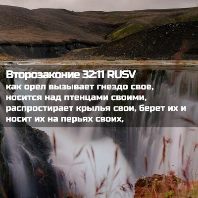 Picture 02 - Второзаконие 32:11 RUSV - как орел вызывает гнездо - Bible Verse Picture