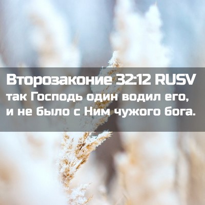 Picture 02 - Второзаконие 32:12 RUSV - так Господь один водил его, - Bible Verse Picture