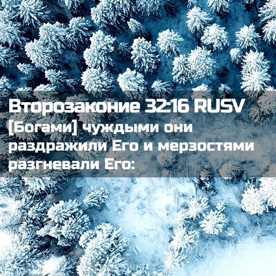 Picture 02 - Второзаконие 32:16 RUSV - [Богами] чуждыми они - Bible Verse Picture
