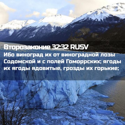 Picture 02 - Второзаконие 32:32 RUSV - Ибо виноград их от - Bible Verse Picture