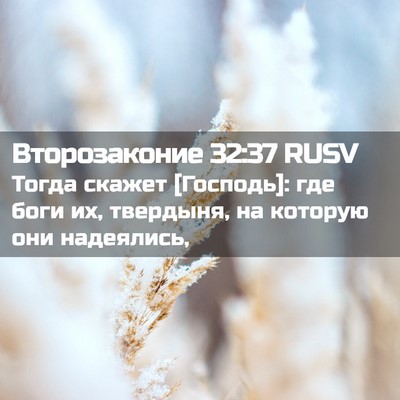 Picture 02 - Второзаконие 32:37 RUSV - Тогда скажет [Господь]: где - Bible Verse Picture