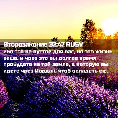 Picture 02 - Второзаконие 32:47 RUSV - ибо это не пустое для вас, - Bible Verse Picture