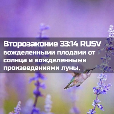 Picture 02 - Второзаконие 33:14 RUSV - вожделенными плодами от - Bible Verse Picture
