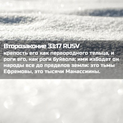 Picture 02 - Второзаконие 33:17 RUSV - крепость его как - Bible Verse Picture
