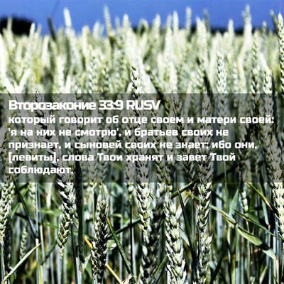 Picture 02 - Второзаконие 33:9 RUSV - который говорит об отце - Bible Verse Picture