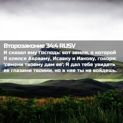 Picture 02 - Второзаконие 34:4 RUSV - И сказал ему Господь: вот - Bible Verse Picture