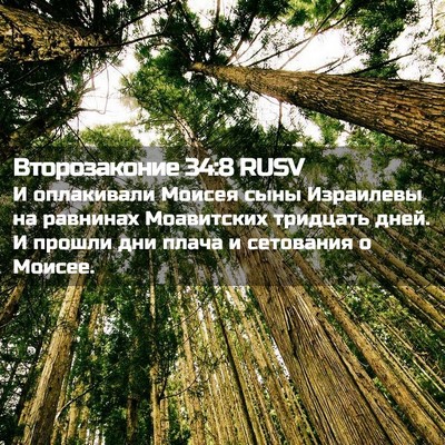 Picture 02 - Второзаконие 34:8 RUSV - И оплакивали Моисея сыны - Bible Verse Picture