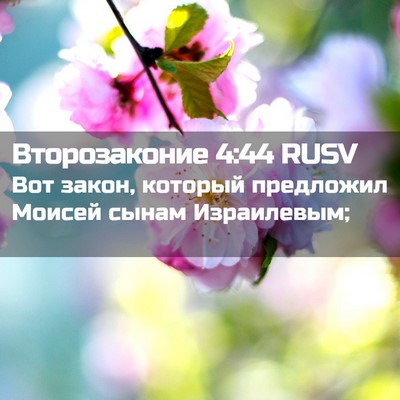 Picture 02 - Второзаконие 4:44 RUSV - Вот закон, который - Bible Verse Picture