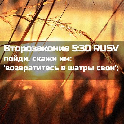 Picture 02 - Второзаконие 5:30 RUSV - пойди, скажи им: - Bible Verse Picture